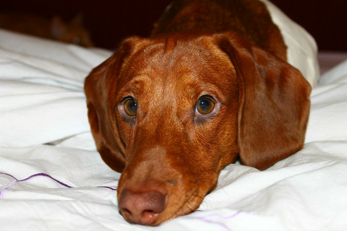 Александр Слабухин | Выборг