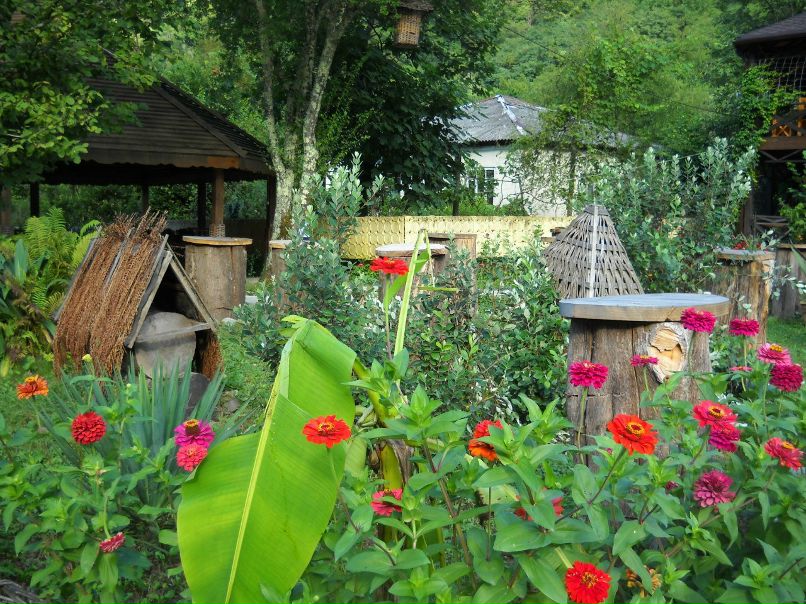 Марина Павелко | Владимир