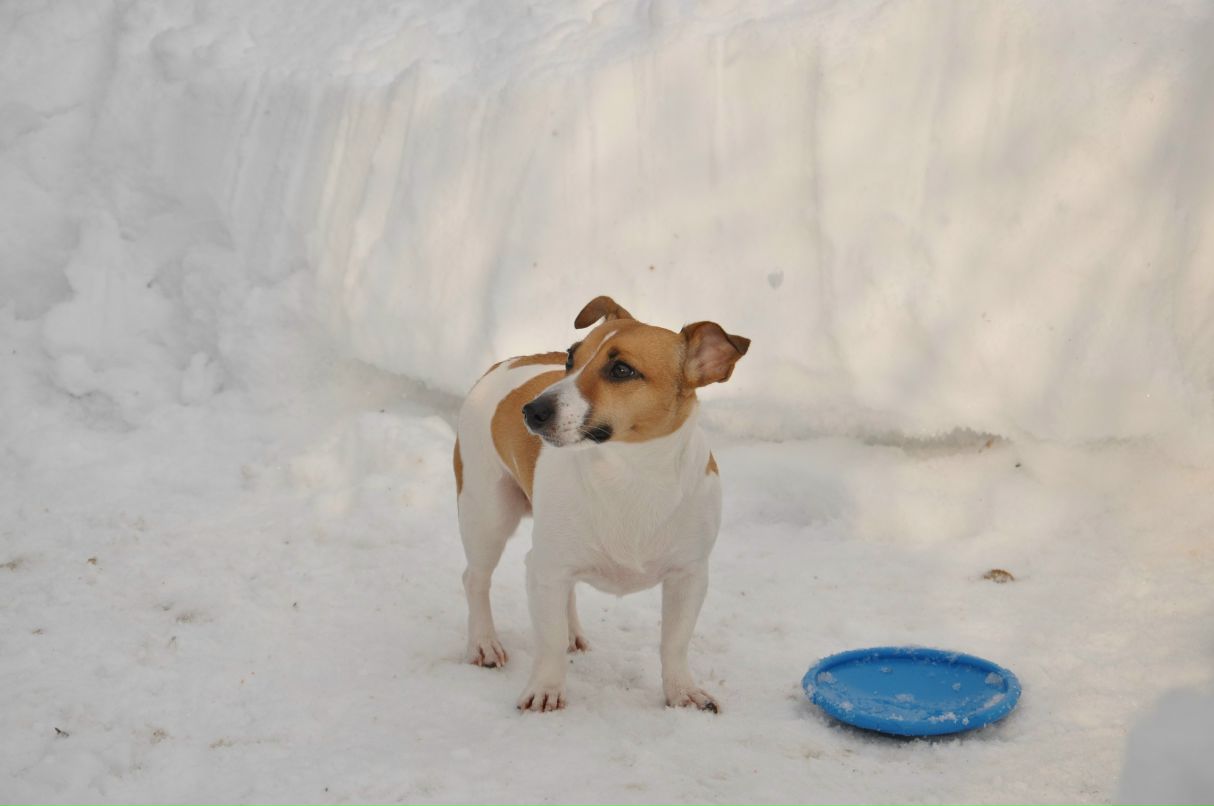 Мишель Китаева | Нижний Новгород