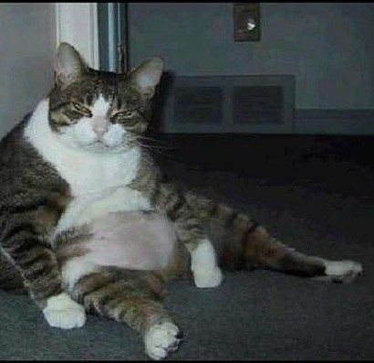 Ярослав Рудаков | Киев