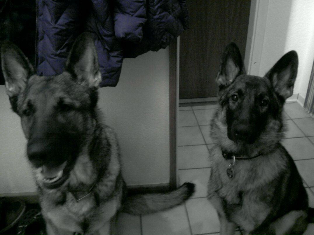 Anastasia Zezegov | Flensburg