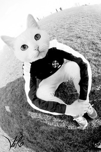 №12, Егор Вадзяуаё, Владивосток №12, Егор Вадзяуаё, Владивосток