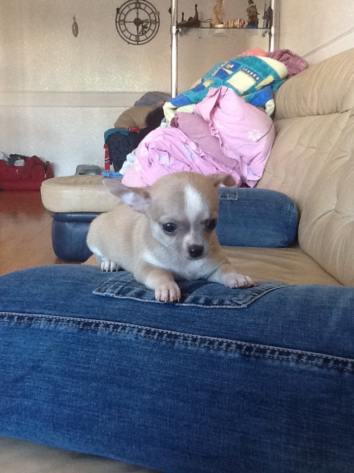 Любовь Филиппова | Норильск