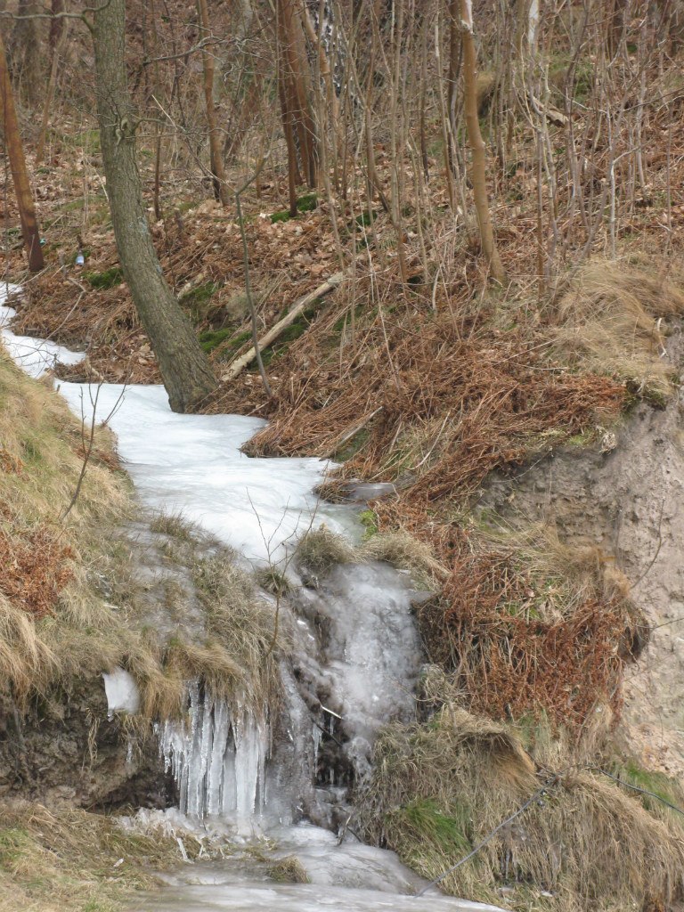 Елена Безлепкина | Санкт-Петербург