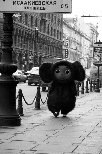 Максим Сергеев | Харьков