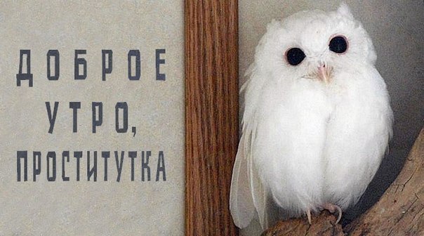 Taia Teslenko | Харьков