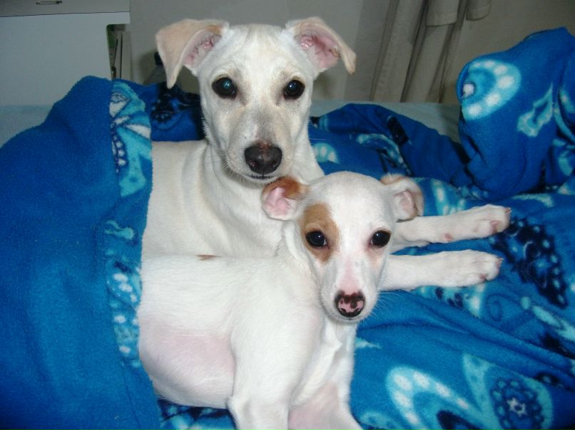 Жаньчик Маринычева | Хайфа