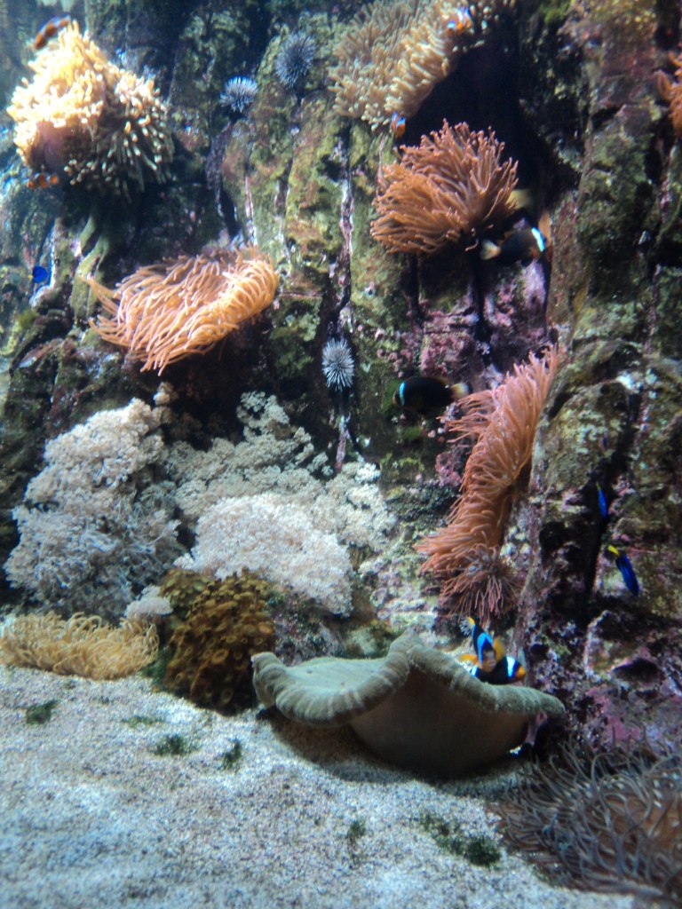 Инна Билоус | Одесса