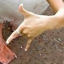 №161, Анжела Жужа, Евпатория №161, Анжела Жужа, Евпатория