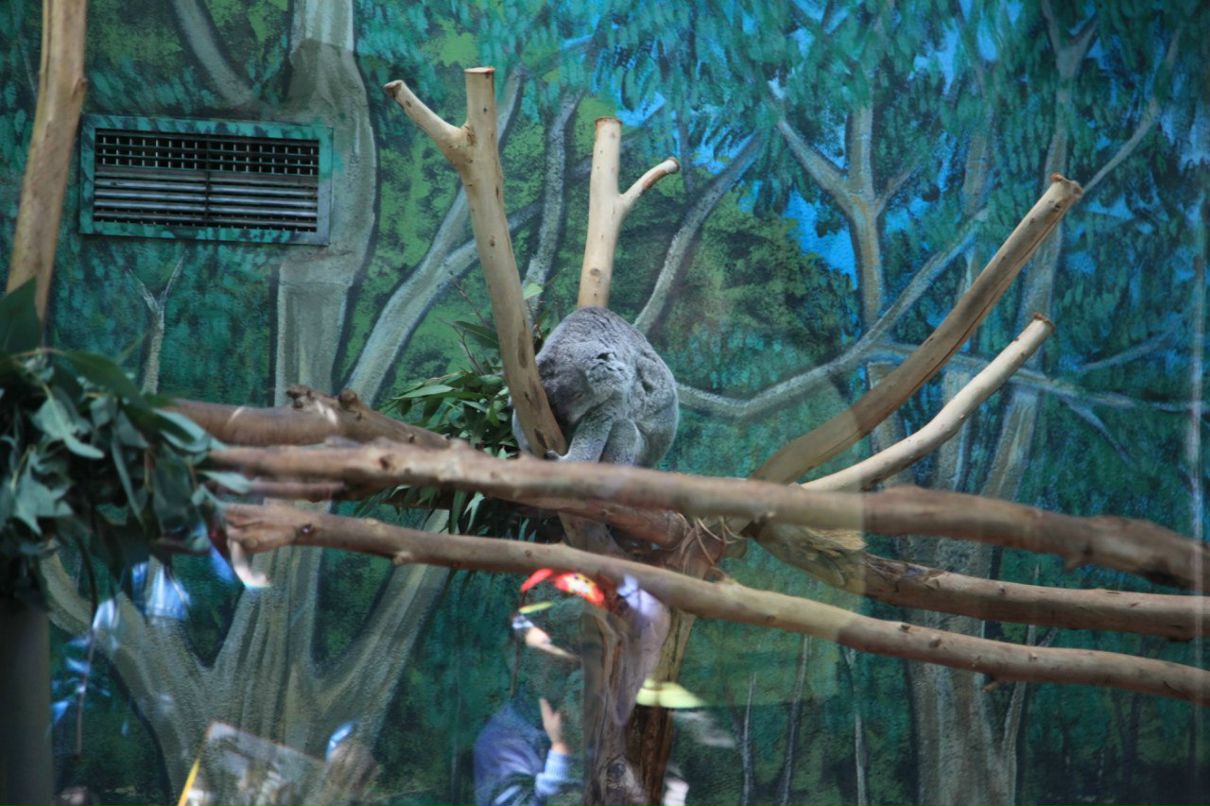 Кира Кучумова | Vigo