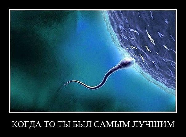 №11, Ярослав Овсянников, Иркутский №11, Ярослав Овсянников, Иркутский