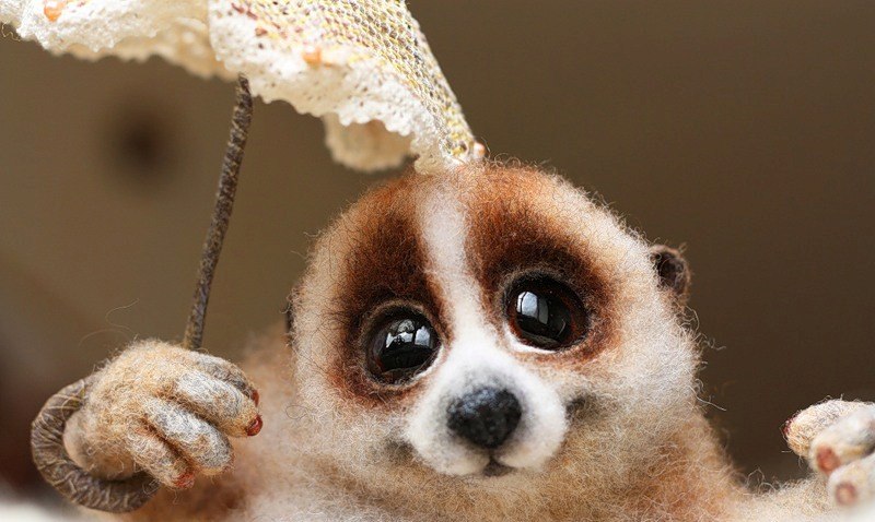 Антонина Столкова | Иркутск