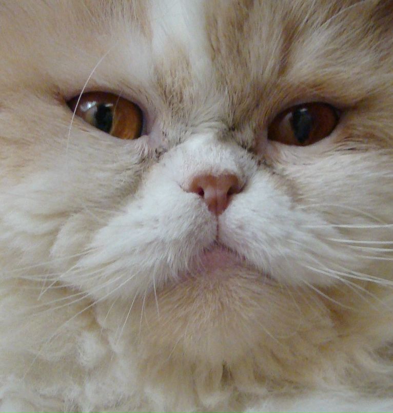 Ильнур Хабибрахманов | Тюмень