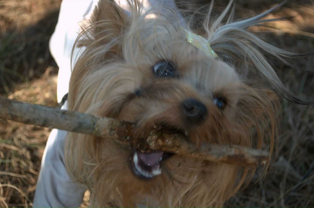 Нина Старикова | Киров