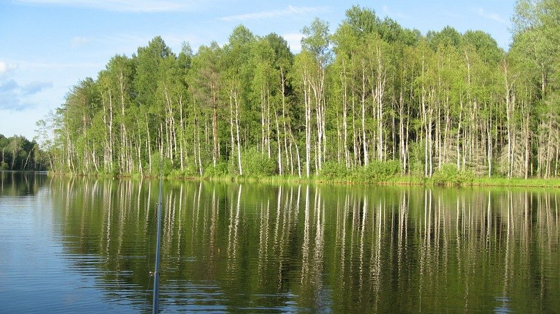 Олег Кудряков | Тихвин