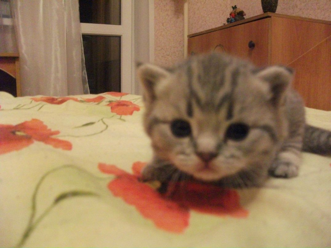 Александр Дундин | Старый Оскол