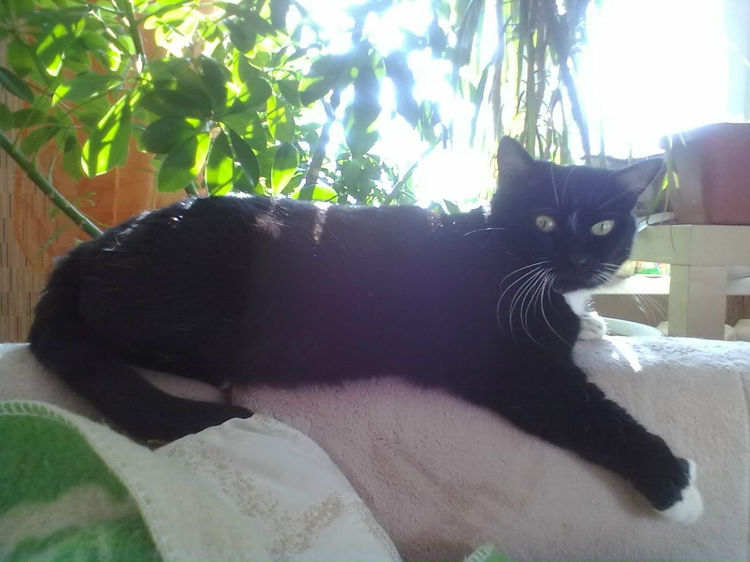 Наталья Маркова | Нижний Новгород