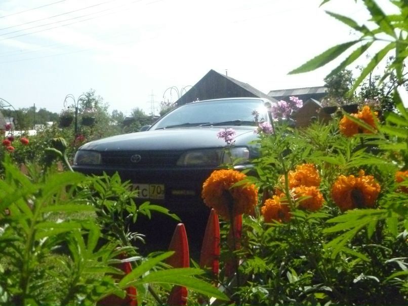 Ксения Устинович | Новосибирск