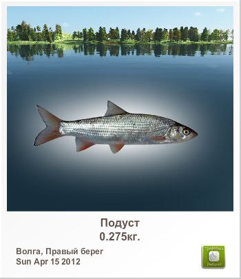 Санёк Сизов | Саратов