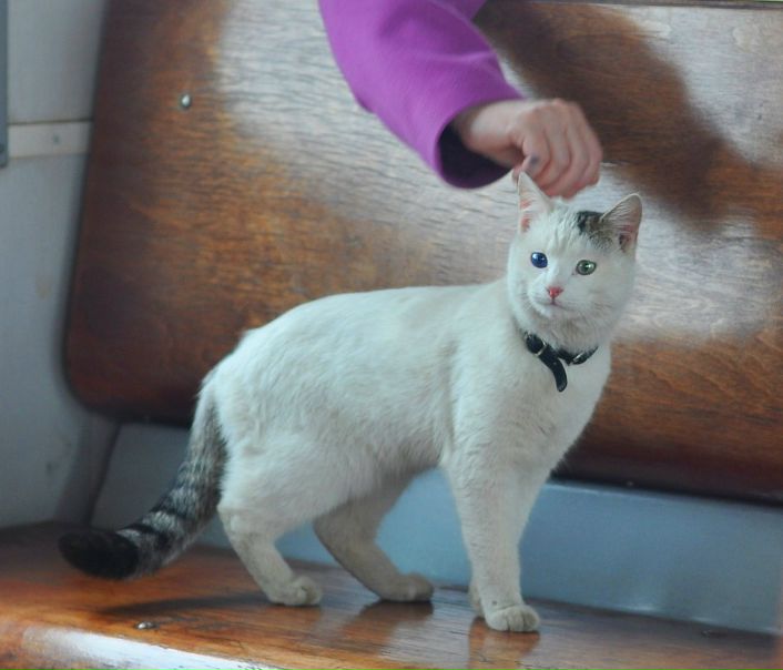 №27, Евгений Красильников №27, Евгений Красильников