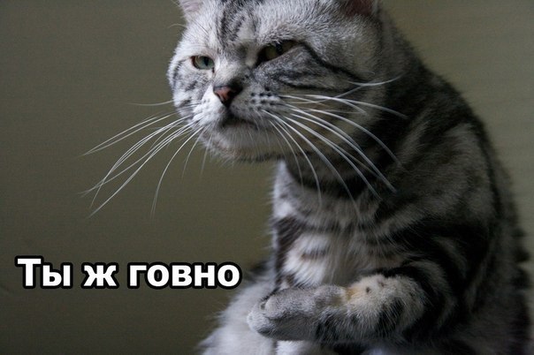 Артем Долматов | Октябрьский