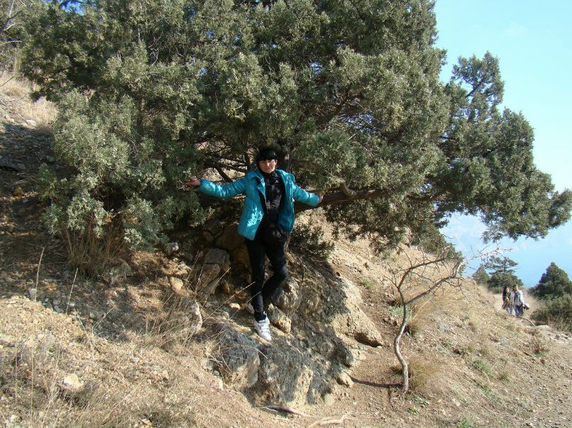 Юлія Буяновська | Жашков