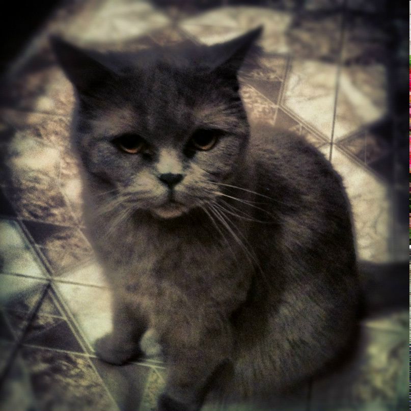 Андрей Тюр | Москва