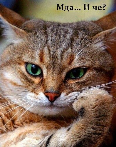 Макс Нисанов | Минск