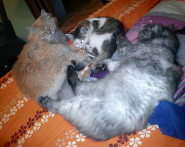 №76, Нина Резниченко, Киев №76, Нина Резниченко, Киев