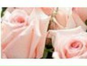 Мария Захаркина | 