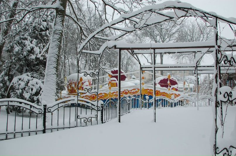 Светлана Цыкунова | Гомель