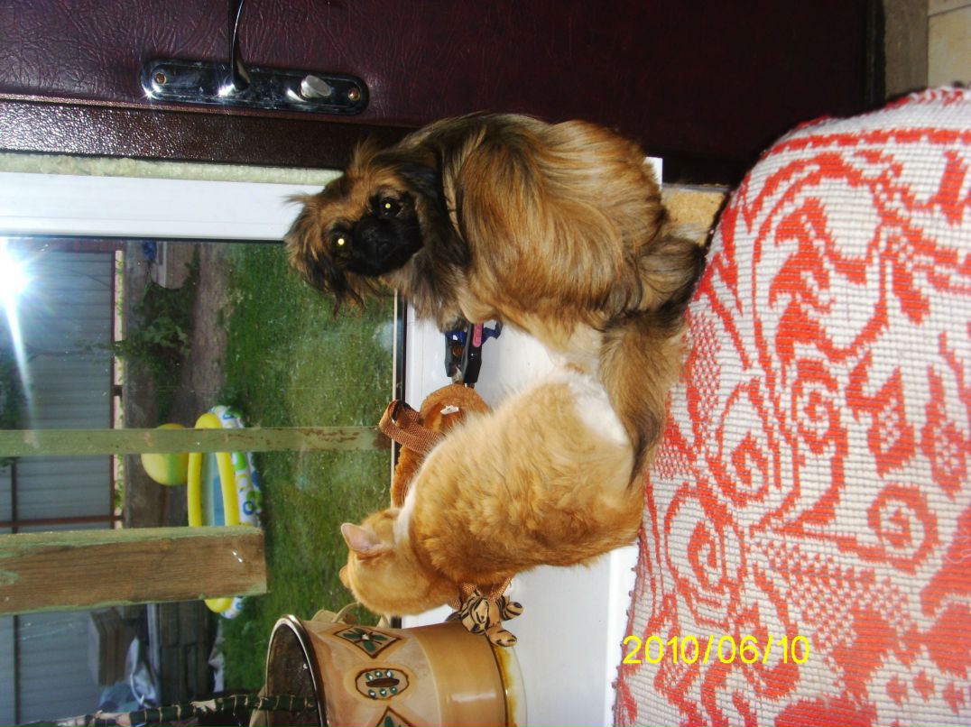 Кристина Малыхина | Минск