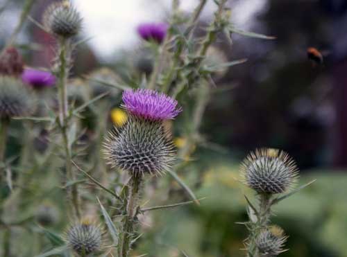 Александр Лежебока | 