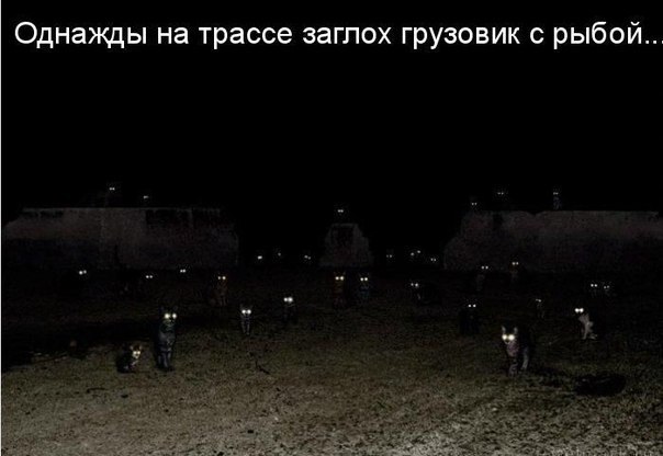 №195, Elena Ermakova, Miskolc №195, Elena Ermakova, Miskolc