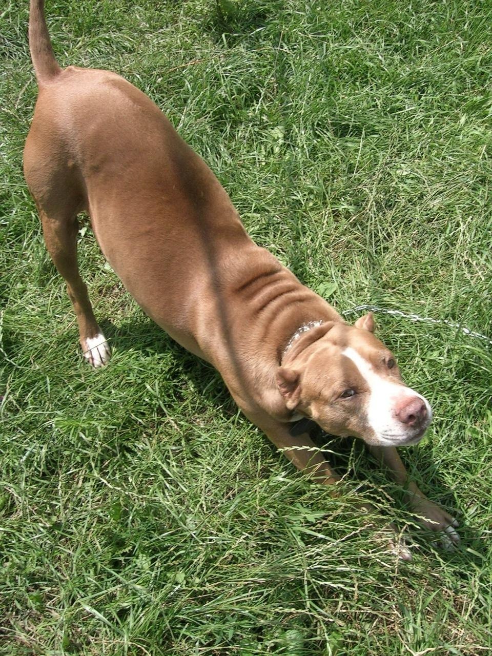 Настя Павлишина | Киев