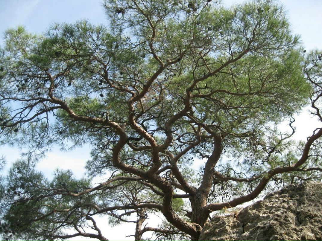 Дарья Фрязинова | Иваново