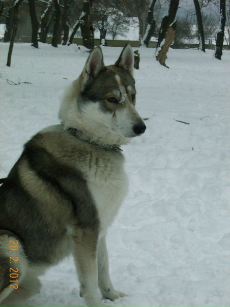 №18, Ахмед Ибынджавахарлалнеру, 105 лет, Кардашинка №18, Ахмед Ибынджавахарлалнеру, 105 лет, Кардашинка