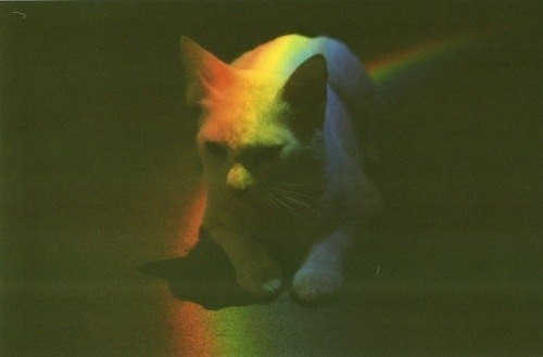 Ксения Резникова | 