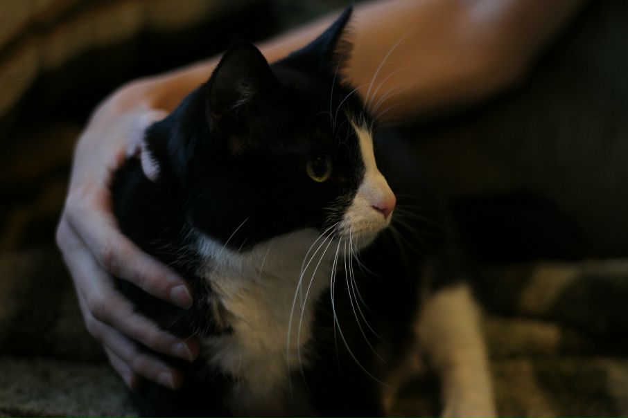 №40, Альбина к., Санкт-Петербург №40, Альбина к., Санкт-Петербург