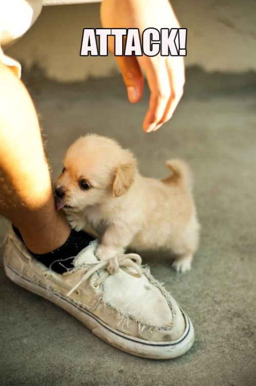 Дмитро Трушев | Ровно