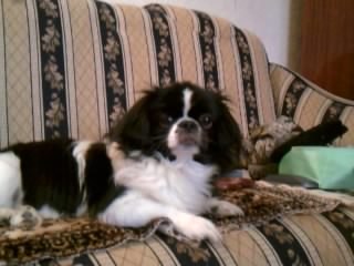 Валентина Волкова | Гомель