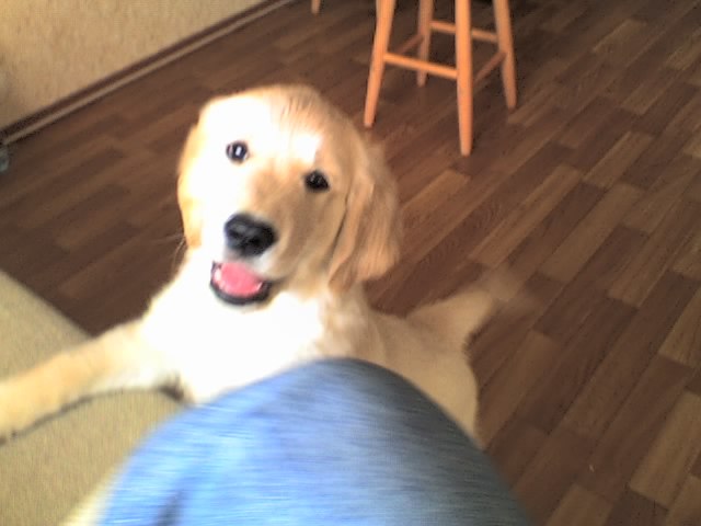 Анна Орлова | Санкт-Петербург