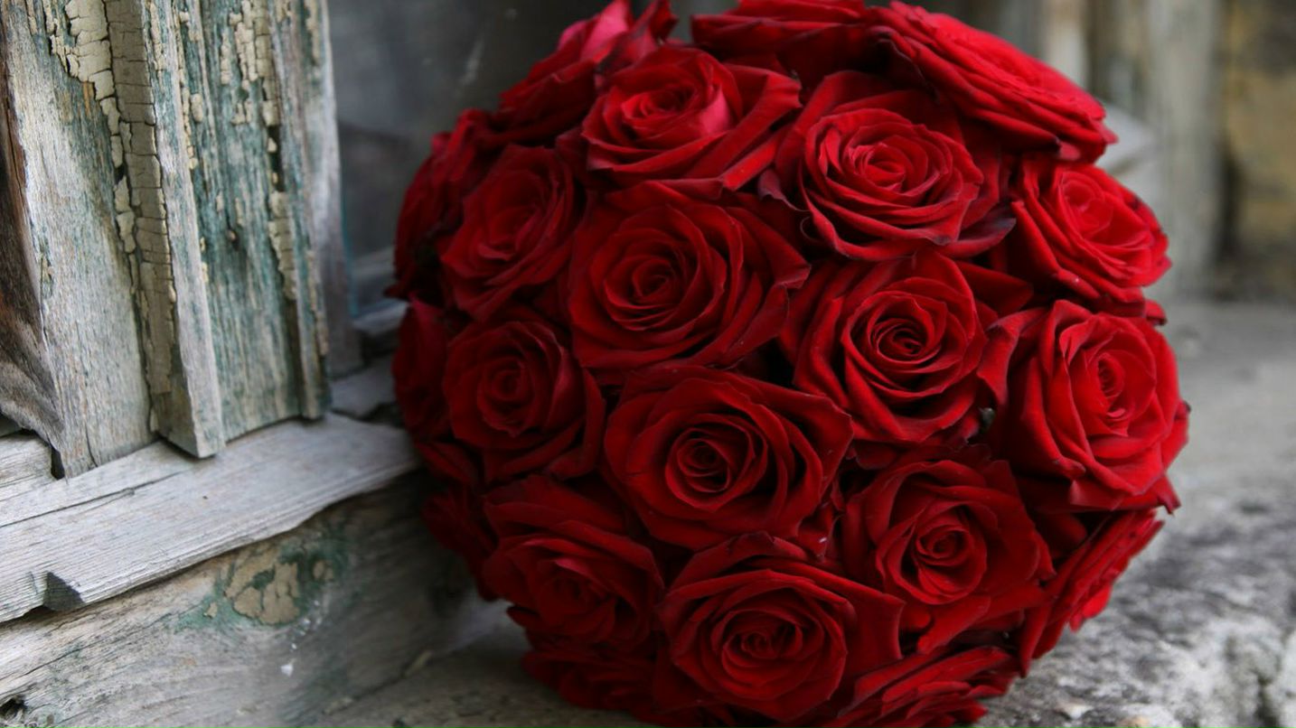 Дарья Сопина | Москва