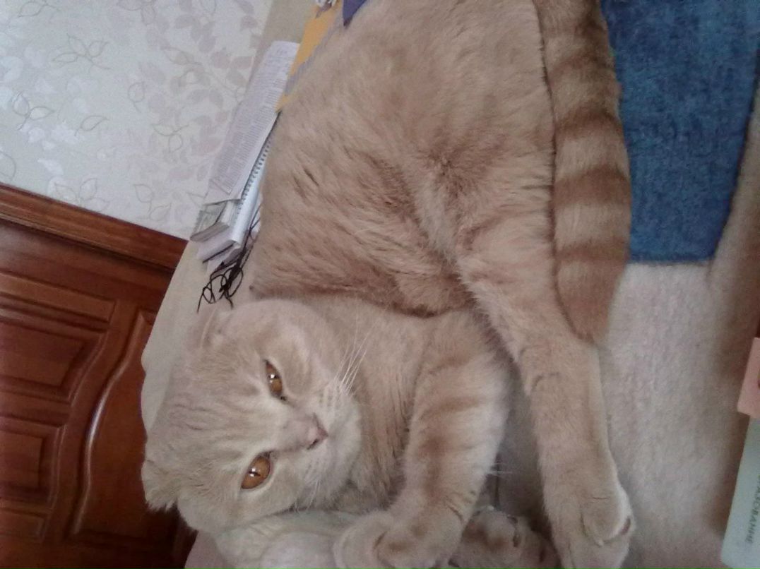 Алана Загидуллина | Черкесск