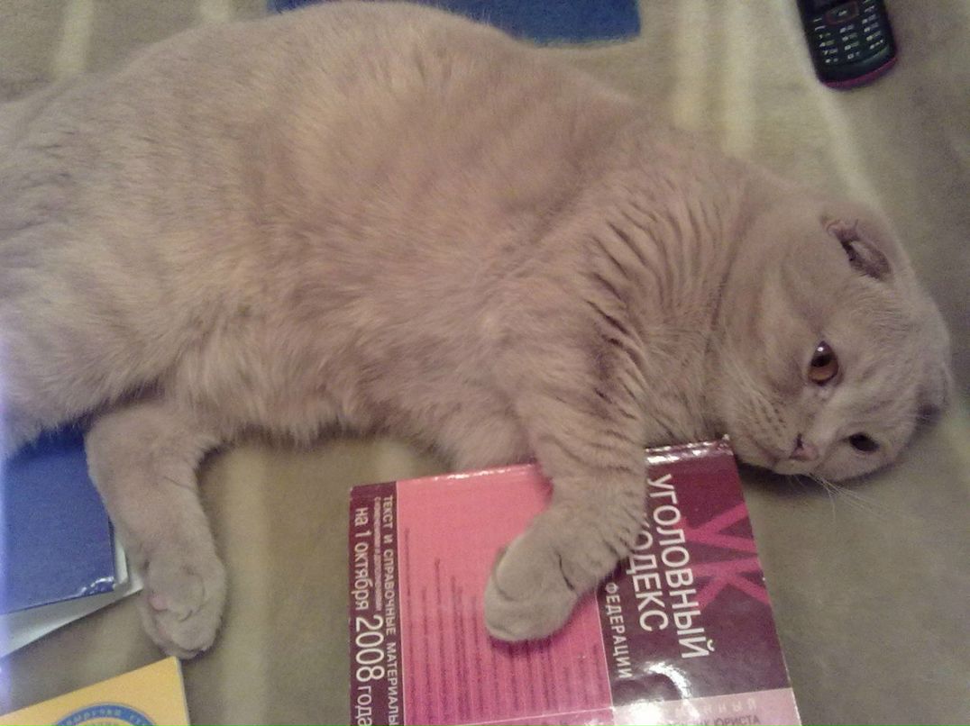 Алана Загидуллина | Черкесск