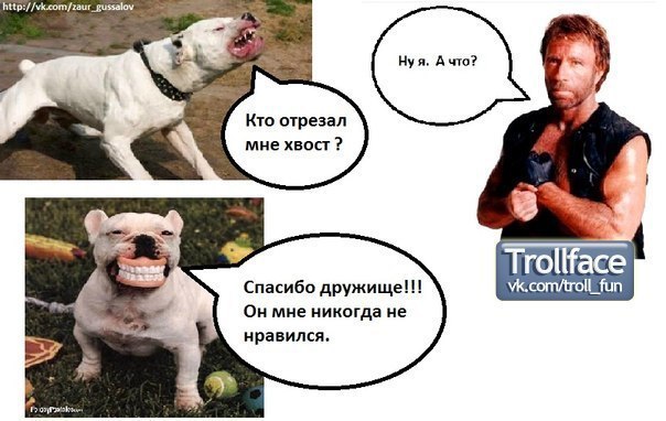 Егор Ремизов |)£/¥\()/\/ | Москва