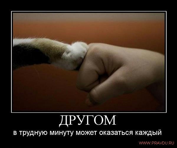 №136, Назар Лещишин, 35 лет, Моршин №136, Назар Лещишин, 35 лет, Моршин