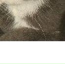 Юлия Тюликова | Ростов-на-Дону