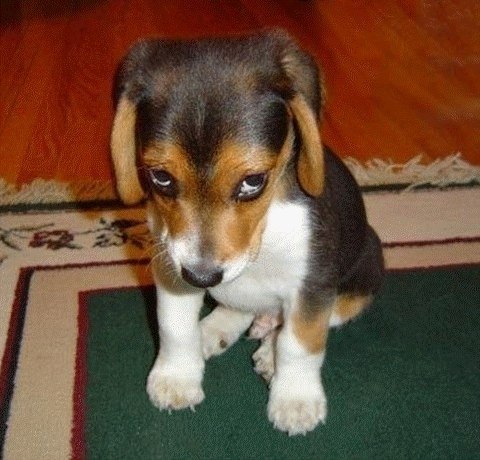 Александр Ганжа | Мелитополь