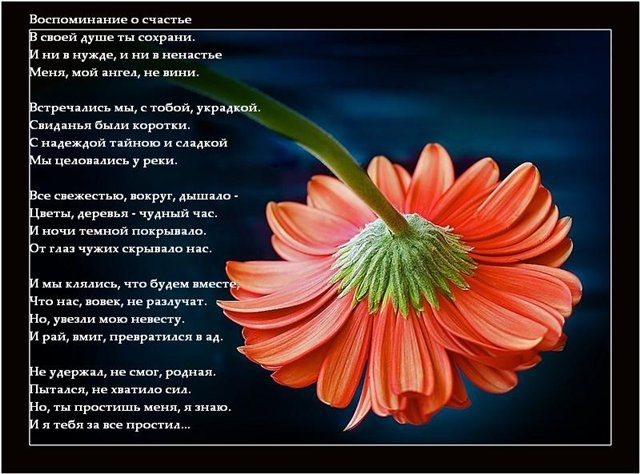 Бука Гуменюк -BUKA- | Кременец